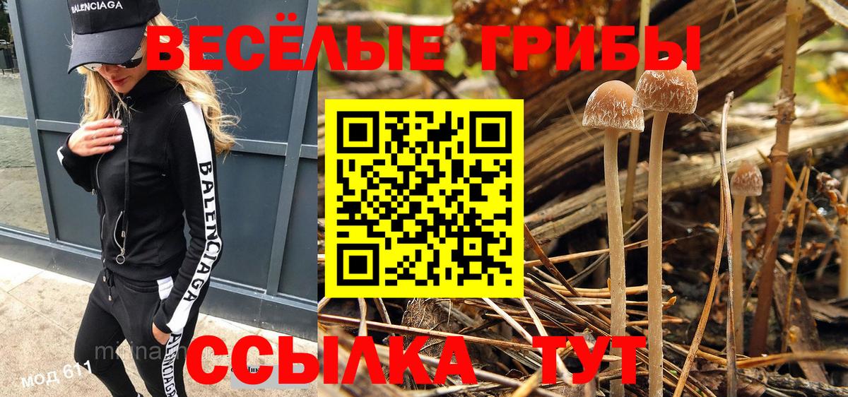 Галлюциногенные грибы Psilocybe Камышлов