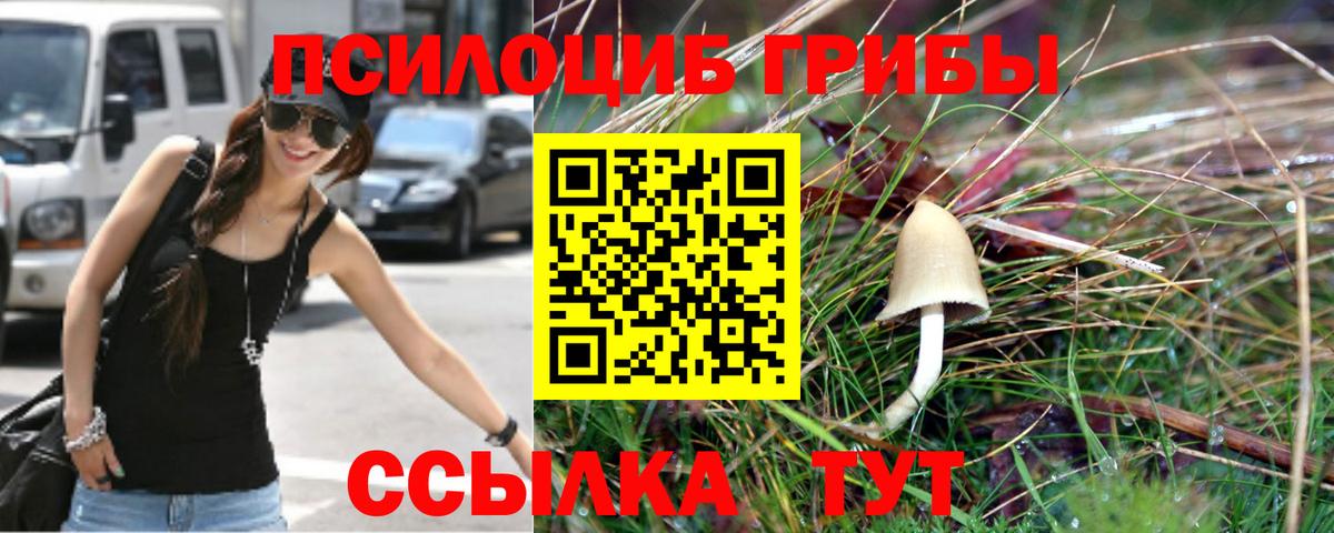 цены   Вход с VPN  Камышлов  Галлюциногенные грибы Magic Shrooms 